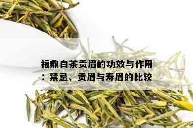 福鼎白茶贡眉的功效与作用：禁忌、贡眉与寿眉的比较