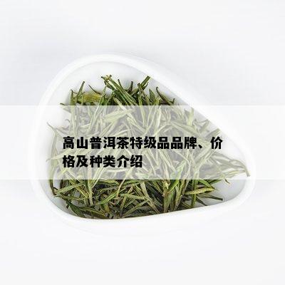 高山普洱茶特级品品牌、价格及种类介绍