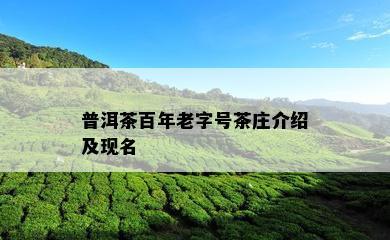 普洱茶百年老字号茶庄介绍及现名