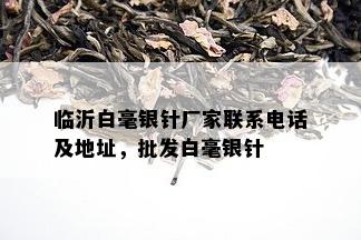 临沂白毫银针厂家联系电话及地址，批发白毫银针