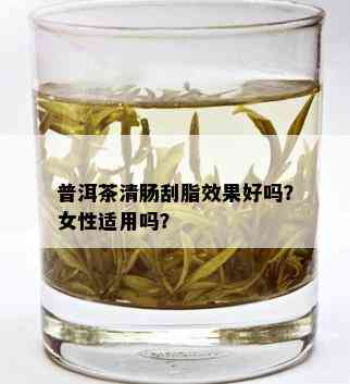 普洱茶清肠刮脂效果好吗？女性适用吗？