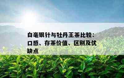 白毫银针与牡丹王茶比较：口感、存茶价值、区别及优缺点