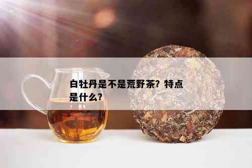 白牡丹是不是荒野茶？特点是什么？