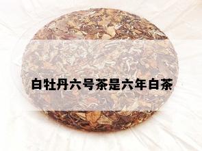 白牡丹六号茶是六年白茶