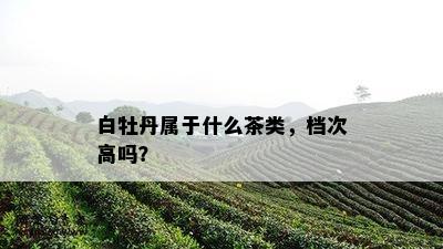 白牡丹属于什么茶类，档次高吗？