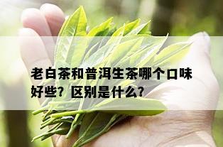 老白茶和普洱生茶哪个口味好些？区别是什么？