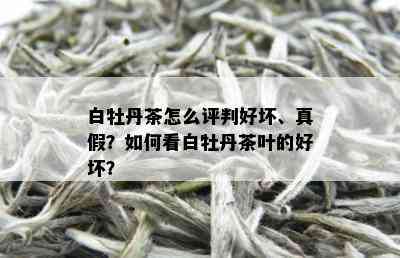 白牡丹茶怎么评判好坏、真假？如何看白牡丹茶叶的好坏？