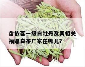 畲依茗一级白牡丹及其相关福鼎白茶厂家在哪儿？