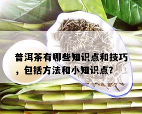 普洱茶有哪些知识点和技巧，包括方法和小知识点？