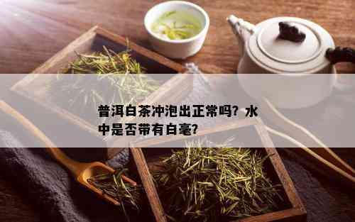 普洱白茶冲泡出正常吗？水中是否带有白毫？