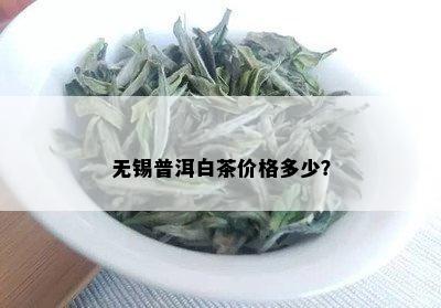 无锡普洱白茶价格多少？