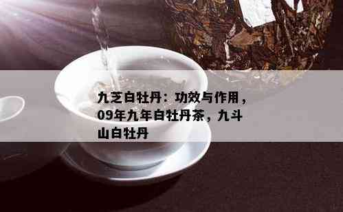 九芝白牡丹：功效与作用，09年九年白牡丹茶，九斗山白牡丹