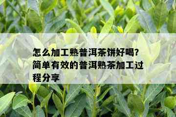 怎么加工熟普洱茶饼好喝？简单有效的普洱熟茶加工过程分享