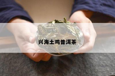 兴海土鸡普洱茶