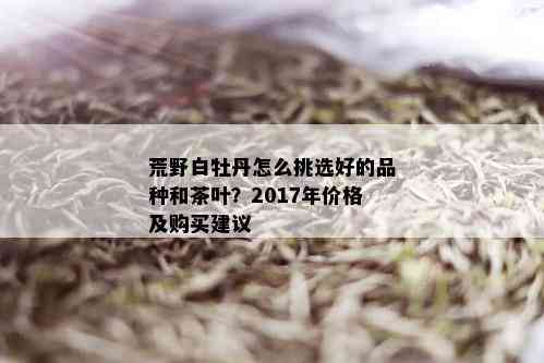 荒野白牡丹怎么挑选好的品种和茶叶？2017年价格及购买建议