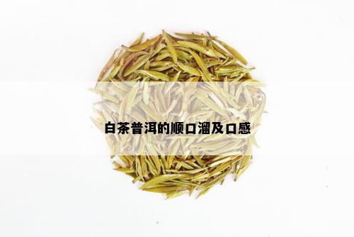 白茶普洱的顺口溜及口感