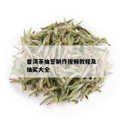 普洱茶抽签制作视频教程及抽奖大全