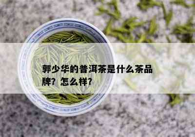 郭少华的普洱茶是什么茶品牌？怎么样？