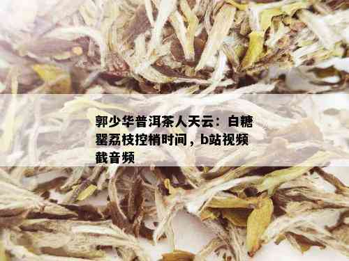 郭少华普洱茶人天云：白糖罂荔枝控梢时间，b站视频截音频