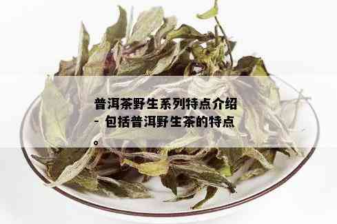 普洱茶野生系列特点介绍 - 包括普洱野生茶的特点。