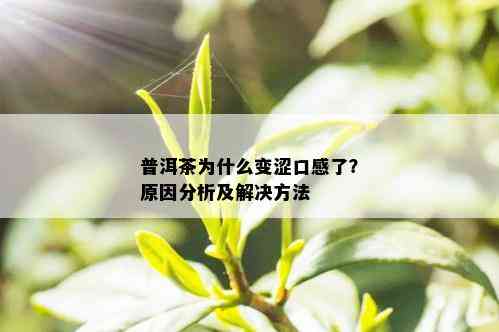 普洱茶为什么变涩口感了？原因分析及解决方法