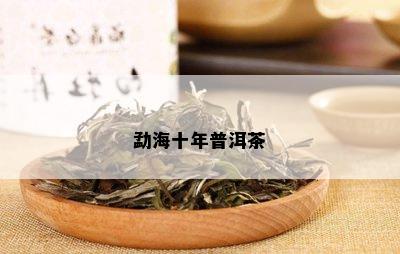 勐海十年普洱茶