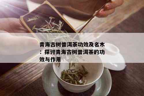 青海古树普洱茶功效及名木：探讨青海古树普洱茶的功效与作用