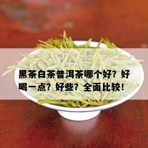 黑茶白茶普洱茶哪个好？好喝一点？好些？全面比较！