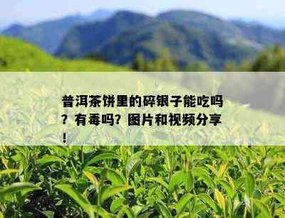 普洱茶饼里的碎银子能吃吗？有吗？图片和视频分享！