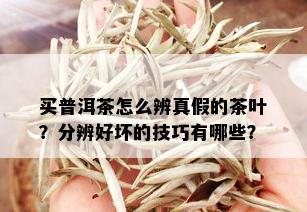 买普洱茶怎么辨真假的茶叶？分辨好坏的技巧有哪些？