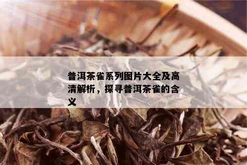 普洱茶雀系列图片大全及高清解析，探寻普洱茶雀的含义