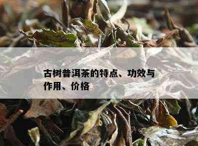 古树普洱茶的特点、功效与作用、价格