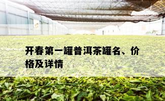 开春之一罐普洱茶罐名、价格及详情