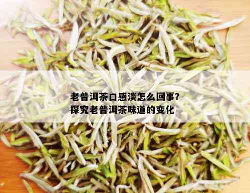 老普洱茶口感淡怎么回事？探究老普洱茶味道的变化