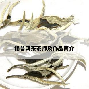 锡普洱茶茶师及作品简介