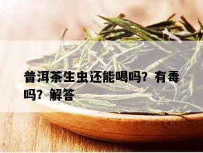 普洱茶生虫还能喝吗？有吗？解答