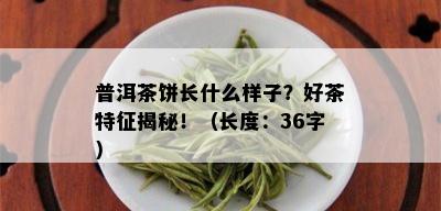 普洱茶饼长什么样子？好茶特征揭秘！（长度：36字）