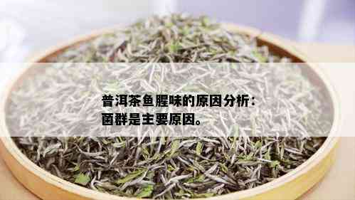 普洱茶鱼腥味的原因分析：菌群是主要原因。