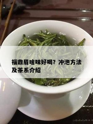 福鼎眉啥味好喝？冲泡方法及茶系介绍