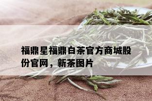 福鼎星福鼎白茶官方商城股份官网，新茶图片