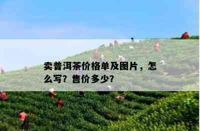 卖普洱茶价格单及图片，怎么写？售价多少？