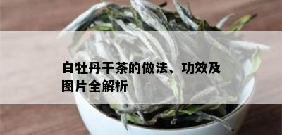 白牡丹干茶的做法、功效及图片全解析