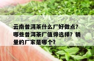 云南普洱茶什么厂好做点？哪些普洱茶厂值得选择？销量的厂家是哪个？