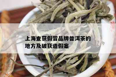 上海查获假冒品牌普洱茶的地方及破获造假案