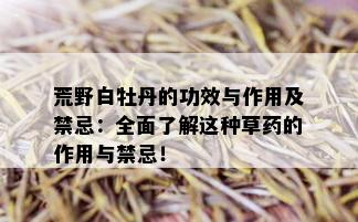 荒野白牡丹的功效与作用及禁忌：全面了解这种草的作用与禁忌！