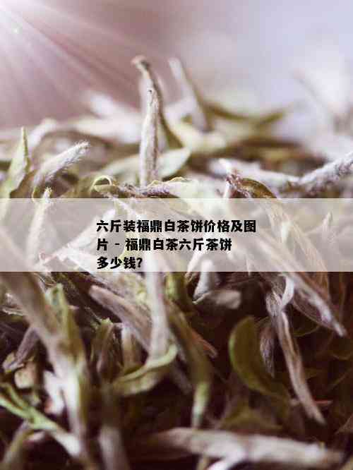 六斤装福鼎白茶饼价格及图片 - 福鼎白茶六斤茶饼多少钱？