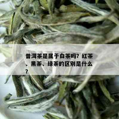 普洱茶是属于白茶吗？红茶、黑茶、绿茶的区别是什么？