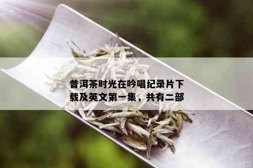 普洱茶时光在吟唱纪录片下载及英文之一集，共有二部