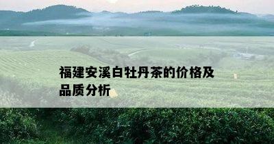 福建安溪白牡丹茶的价格及品质分析