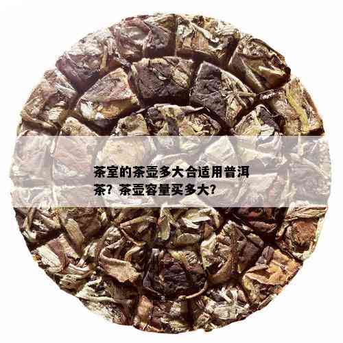 茶室的茶壶多大合适用普洱茶？茶壶容量买多大？